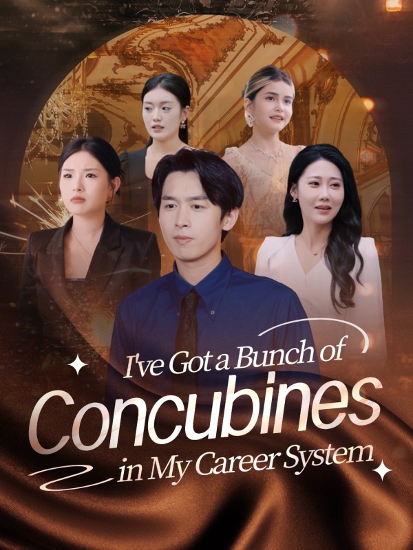 I've Got a Bunch of Concubines in My Career System