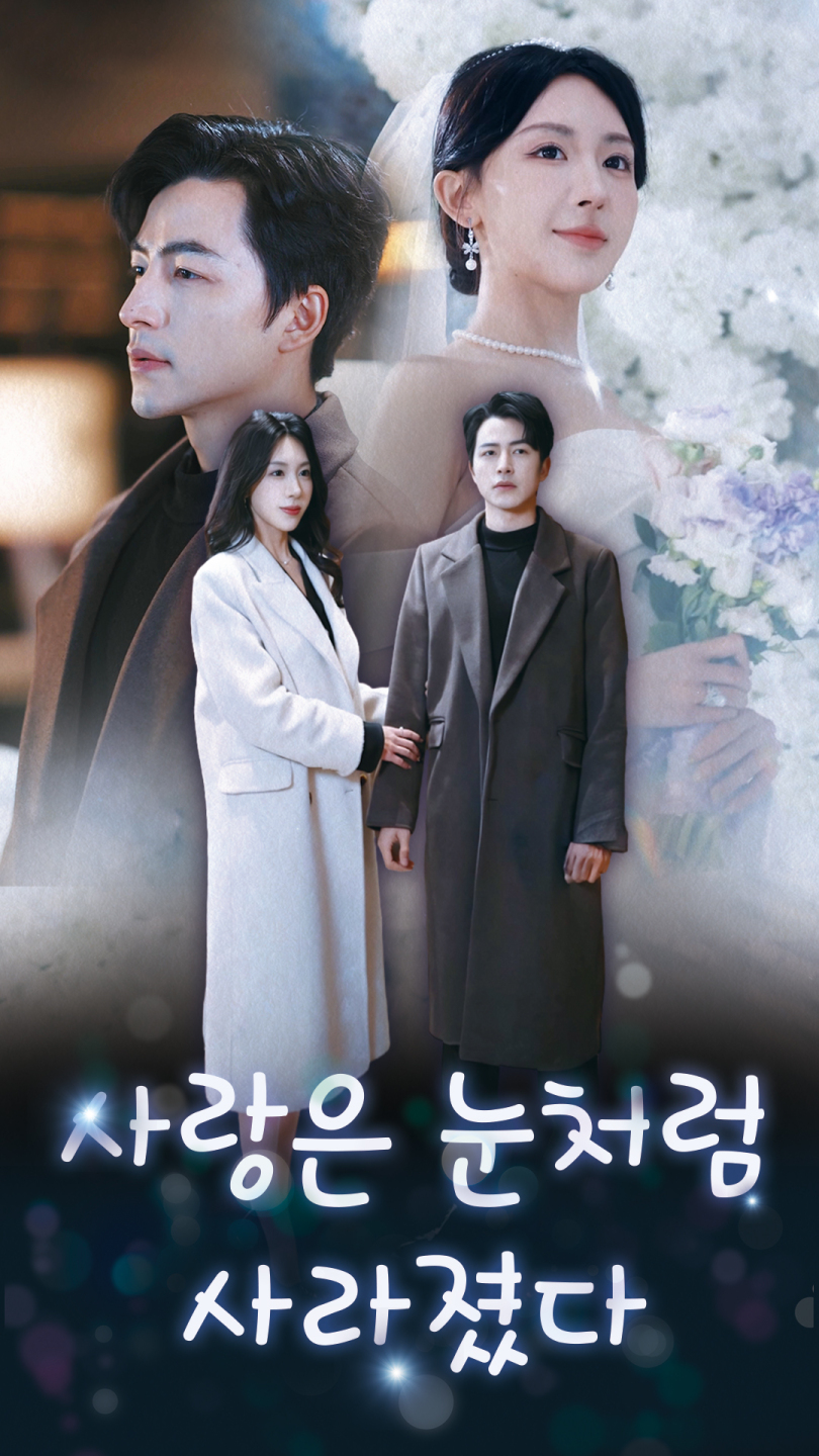 사랑은 눈처럼 사라졌다