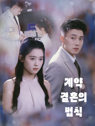 계약 결혼의 법칙