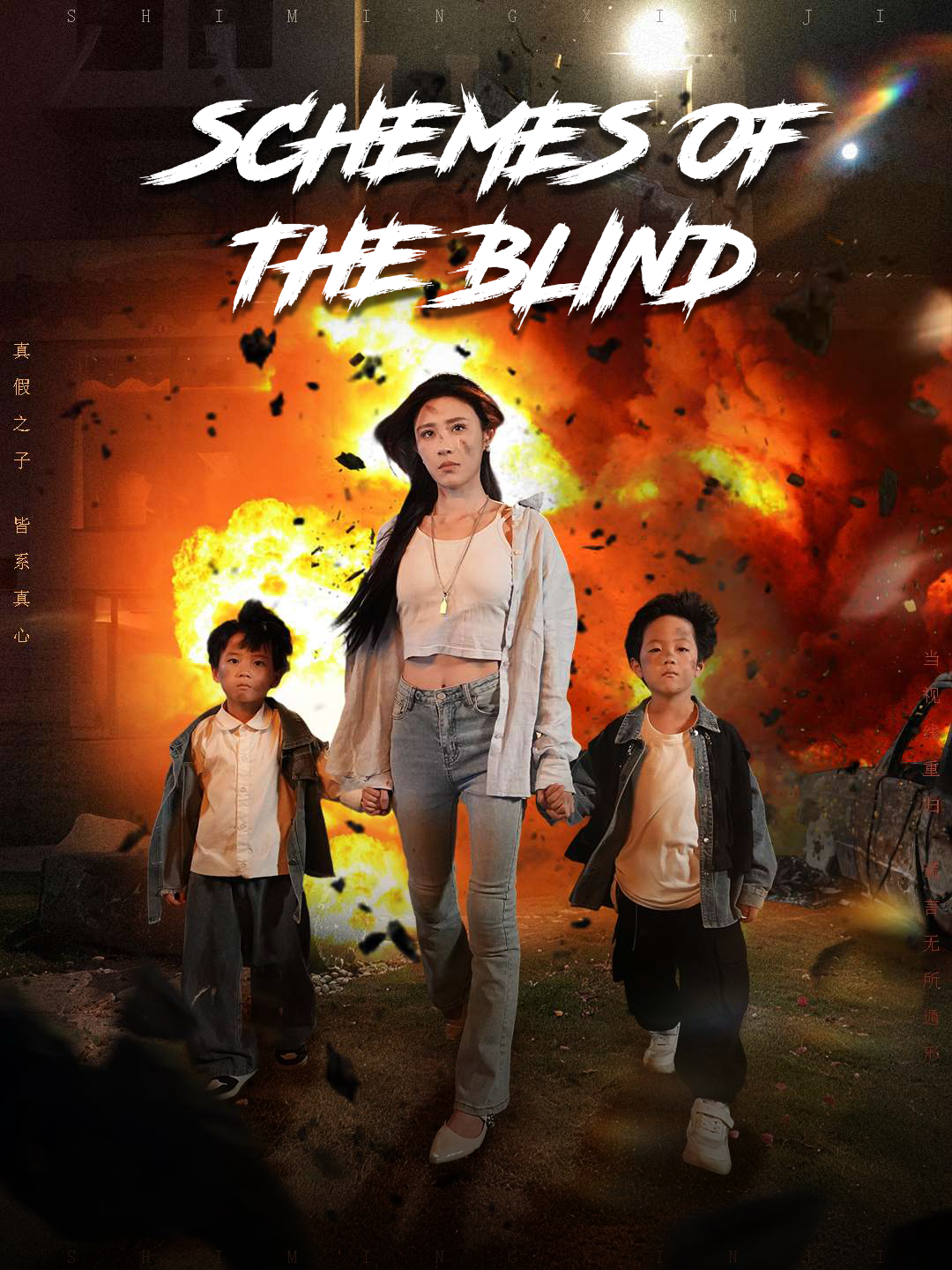 Poster Schemes of the Blind
