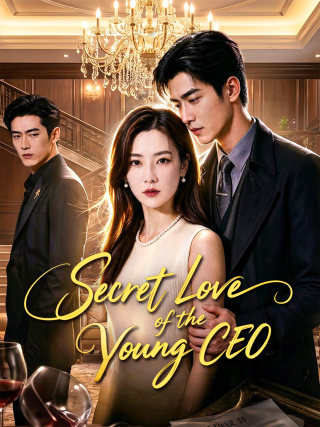 Secret Love of the Young CEO