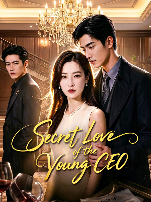 Secret Love of the Young CEO